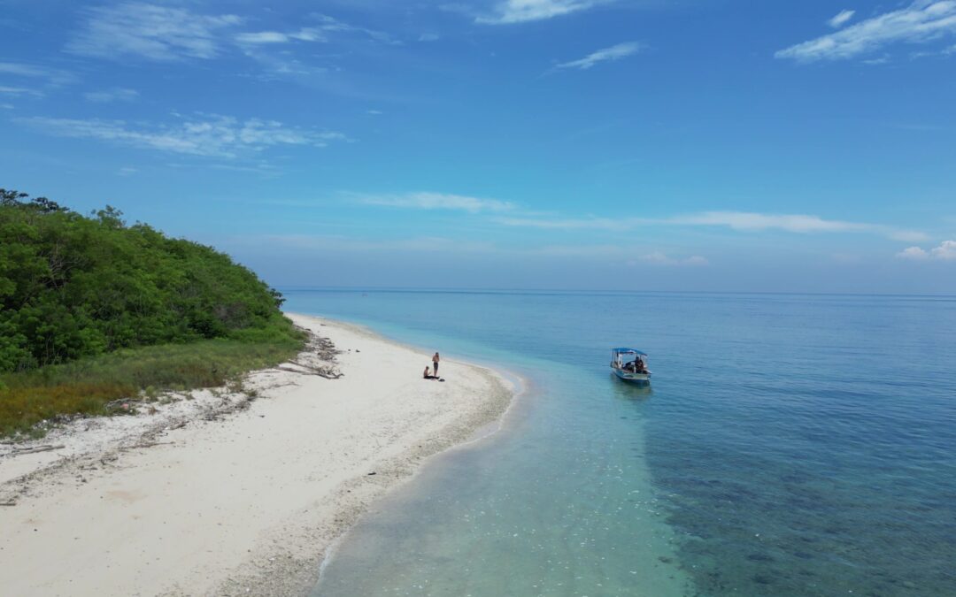 Diving with Signature Scuba Gili Gede: What to Expect