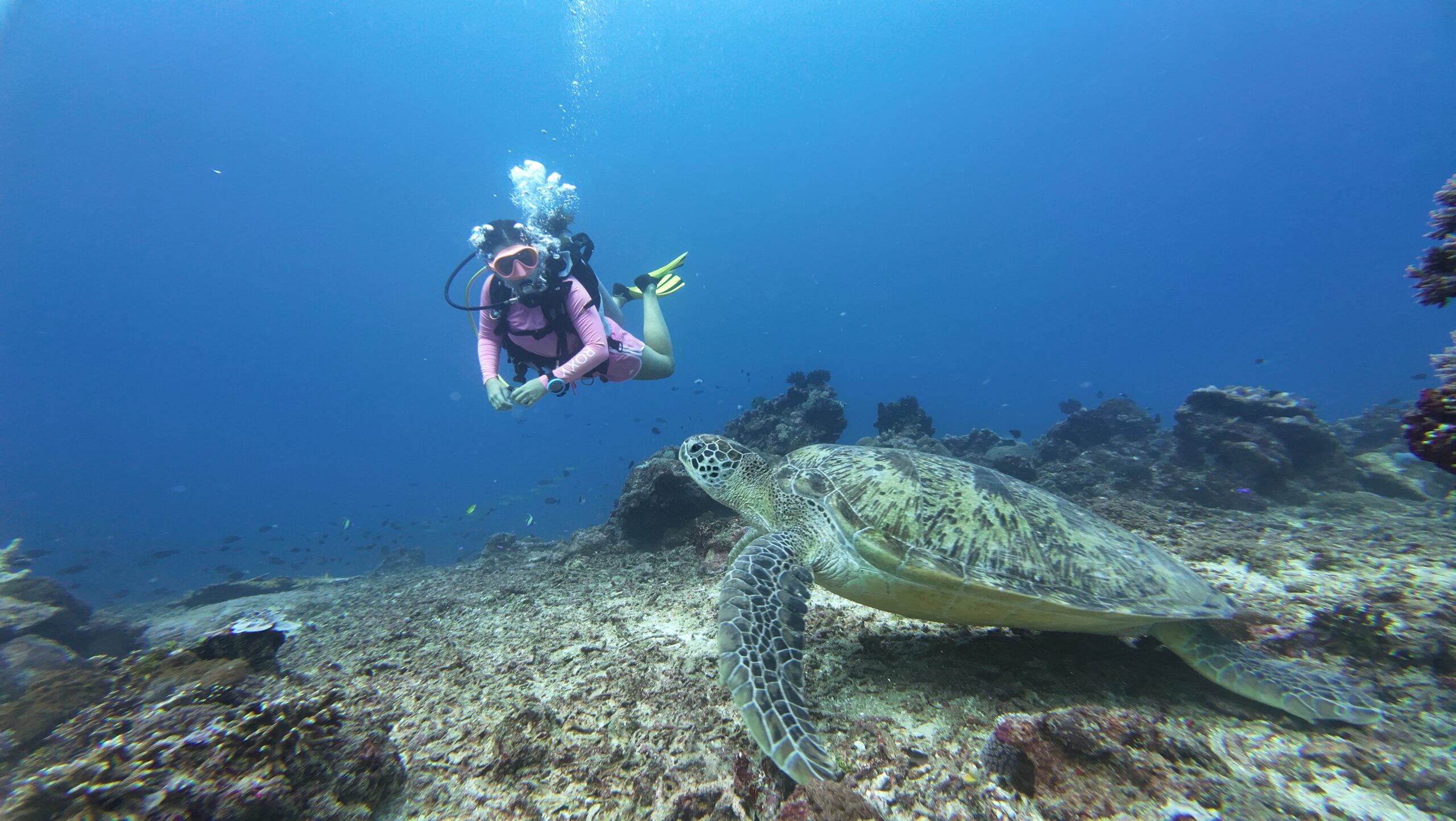 Signature Scuba Gili Trawangan dive center