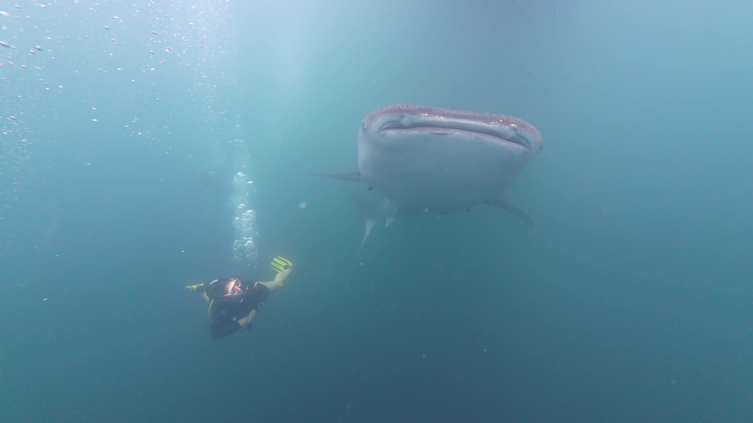 Signature Scuba Group Lombok – Registered Legal Entity